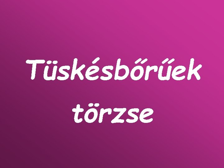 Tüskésbőrűek törzse 