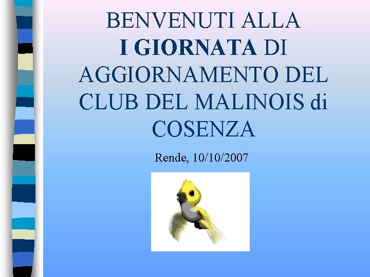 BENVENUTI ALLA I GIORNATA DI AGGIORNAMENTO DEL CLUB DEL MALINOIS di COSENZA Rende, 10/10/2007