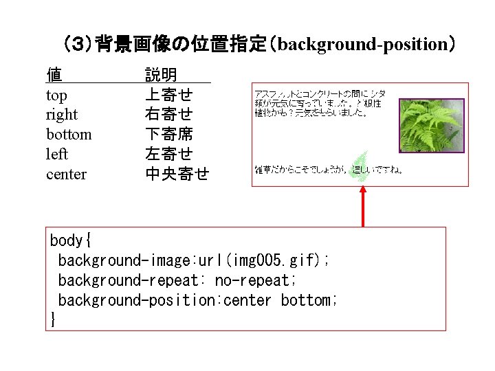 （３）背景画像の位置指定（background-position） 値 top right bottom left center 説明 上寄せ 右寄せ 下寄席 左寄せ 中央寄せ body{