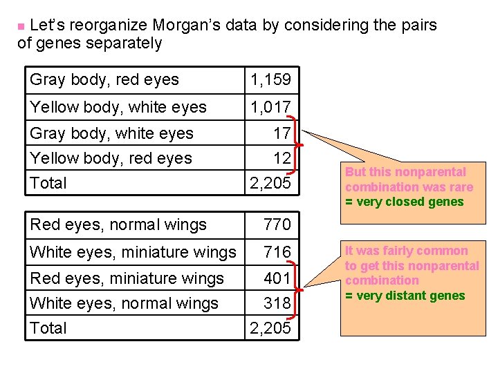 Let’s reorganize Morgan’s data by considering the pairs of genes separately n Gray body,