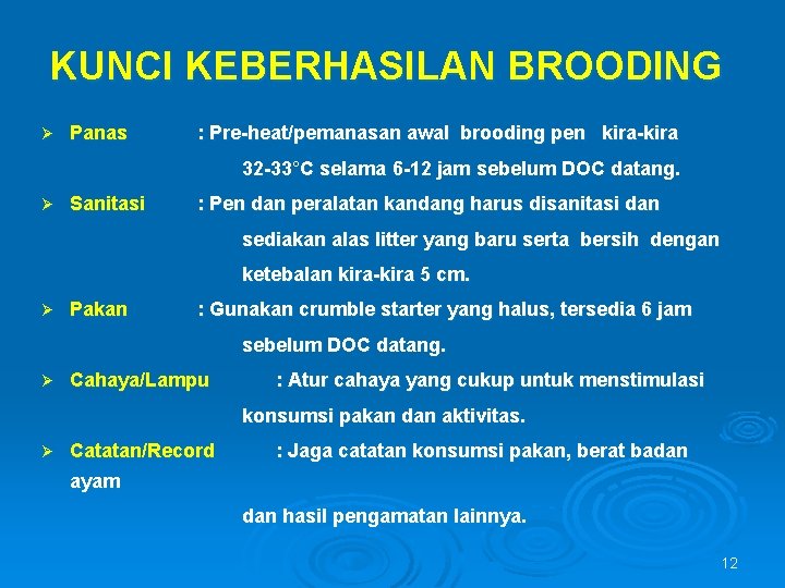 KUNCI KEBERHASILAN BROODING Ø Panas : Pre-heat/pemanasan awal brooding pen kira-kira 32 -33°C selama