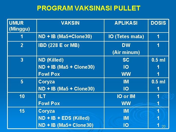 PROGRAM VAKSINASI PULLET UMUR (Minggu) VAKSIN APLIKASI DOSIS IO (Tetes mata) 1 DW (Air