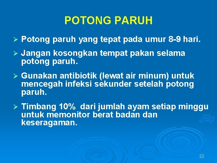 POTONG PARUH Ø Potong paruh yang tepat pada umur 8 -9 hari. Ø Jangan