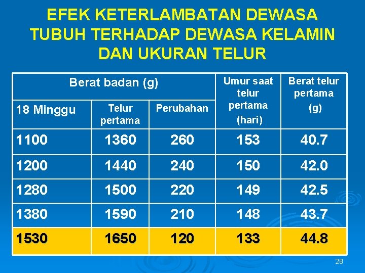 EFEK KETERLAMBATAN DEWASA TUBUH TERHADAP DEWASA KELAMIN DAN UKURAN TELUR Berat badan (g) Umur