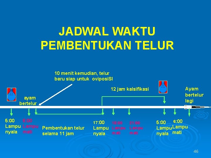 JADWAL WAKTU PEMBENTUKAN TELUR 10 menit kemudian, telur baru siap untuk oviposi. SI 12