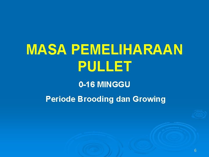 MASA PEMELIHARAAN PULLET 0 -16 MINGGU Periode Brooding dan Growing 6 