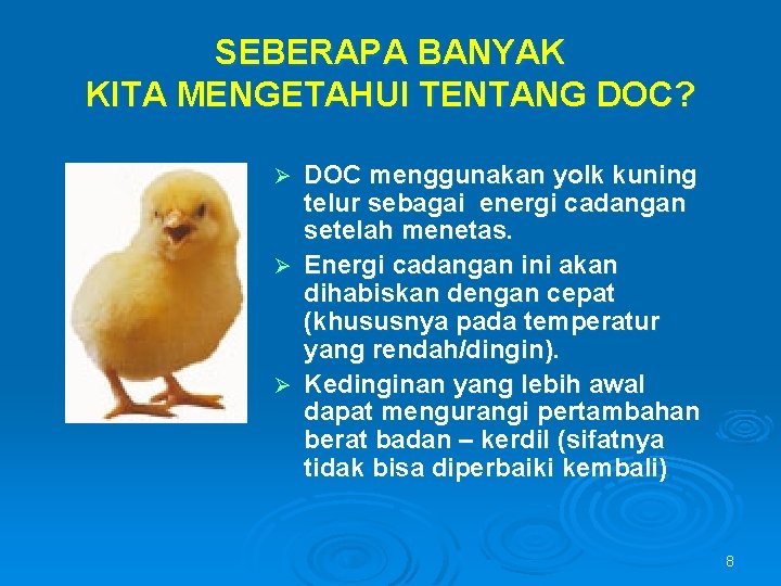 SEBERAPA BANYAK KITA MENGETAHUI TENTANG DOC? DOC menggunakan yolk kuning telur sebagai energi cadangan