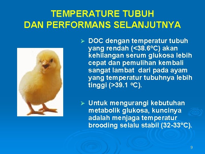 TEMPERATURE TUBUH DAN PERFORMANS SELANJUTNYA Ø DOC dengan temperatur tubuh yang rendah (<38. 6