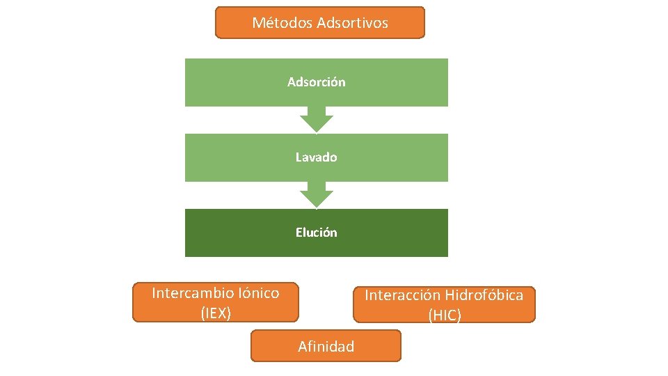 Métodos Adsortivos Adsorción Lavado Elución Intercambio Iónico (IEX) Interacción Hidrofóbica (HIC) Afinidad 