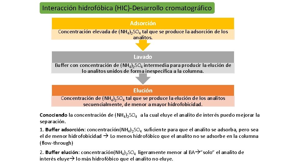 Interacción hidrofóbica (HIC)-Desarrollo cromatográfico Adsorción Concentración elevada de (NH 4)2 SO 4 tal que