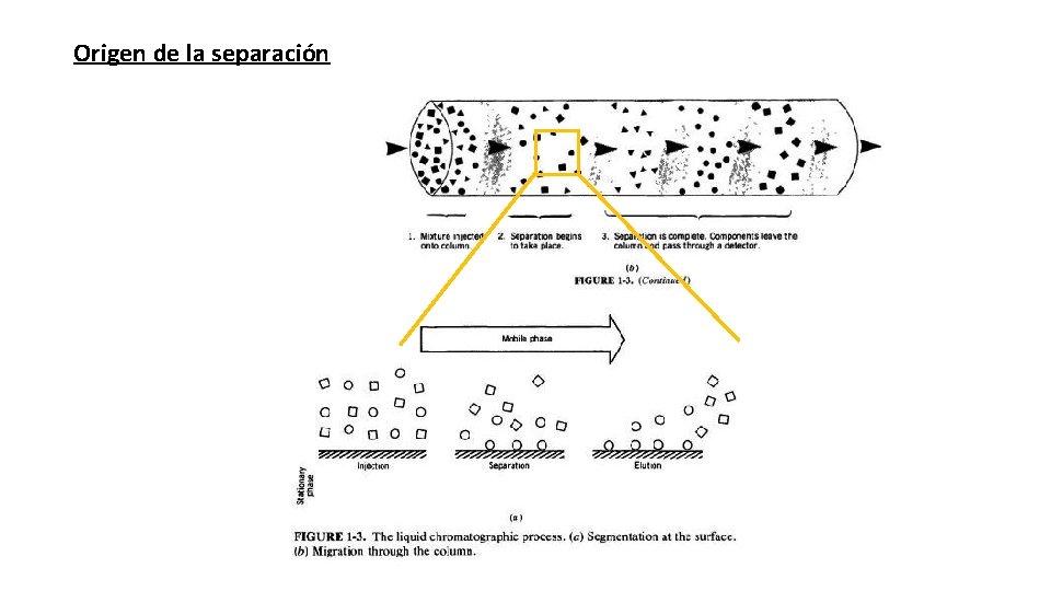 Origen de la separación 