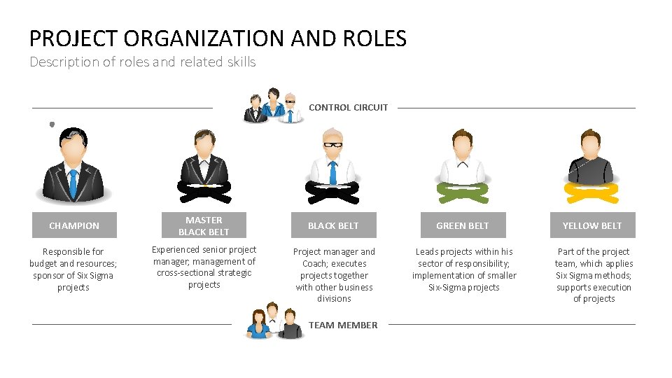 PROJECT ORGANIZATION AND ROLES Description of roles and related skills CONTROL CIRCUIT CHAMPION MASTER