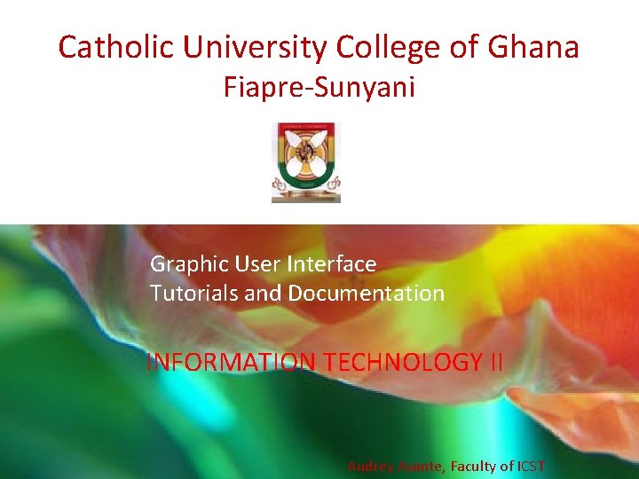 Catholic University College of Ghana Fiapre-Sunyani Graphic User Interface Tutorials and Documentation INFORMATION TECHNOLOGY