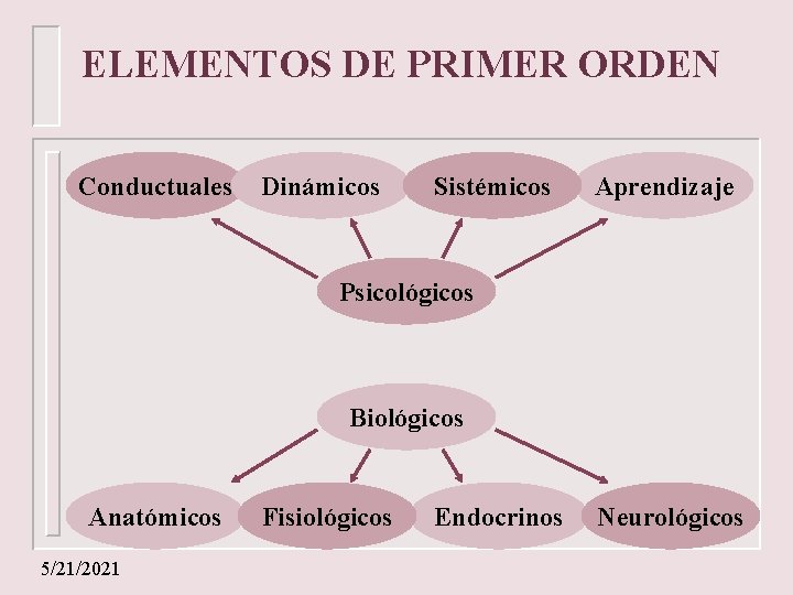 ELEMENTOS DE PRIMER ORDEN Conductuales Dinámicos Sistémicos Aprendizaje Psicológicos Biológicos Anatómicos 5/21/2021 Fisiológicos Endocrinos