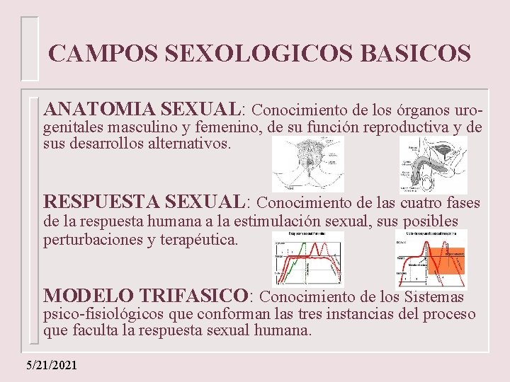 CAMPOS SEXOLOGICOS BASICOS ANATOMIA SEXUAL: Conocimiento de los órganos urogenitales masculino y femenino, de
