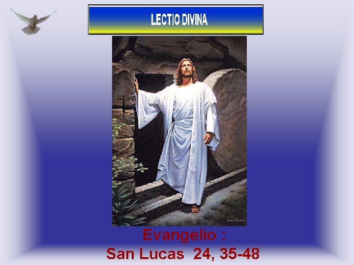 Evangelio : San Lucas 24, 35 -48 