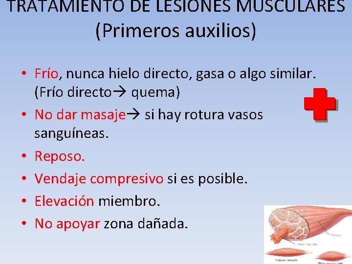 TRATAMIENTO DE LESIONES MUSCULARES (Primeros auxilios) • Frío, nunca hielo directo, gasa o algo