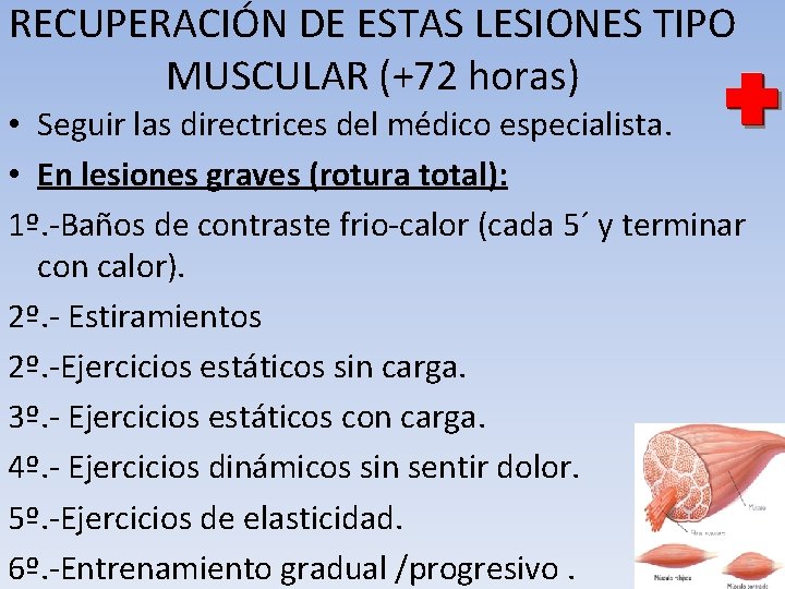 RECUPERACIÓN DE ESTAS LESIONES TIPO MUSCULAR (+72 horas) • Seguir las directrices del médico