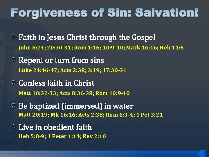 Forgiveness of Sin: Salvation! • Faith in Jesus Christ through the Gospel John 8: