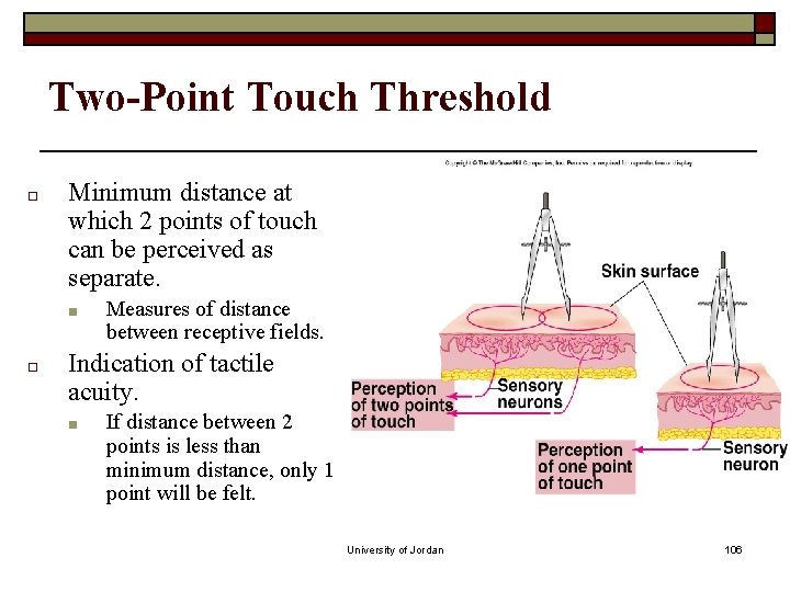 Two-Point Touch Threshold □ Minimum distance at which 2 points of touch can be Two-Point Touch Threshold □ Minimum distance at which 2 points of touch can be