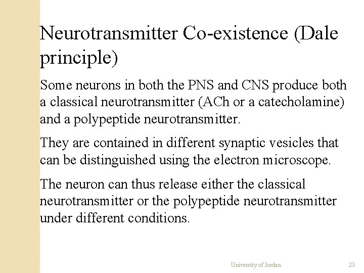 Neurotransmitter Co-existence (Dale principle) Some neurons in both the PNS and CNS produce both Neurotransmitter Co-existence (Dale principle) Some neurons in both the PNS and CNS produce both