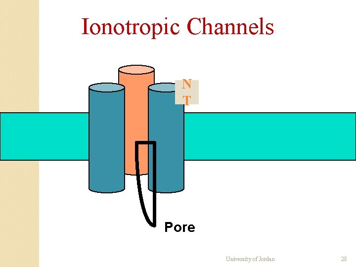 Ionotropic Channels N T Pore University of Jordan 28 Ionotropic Channels N T Pore University of Jordan 28