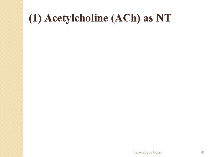 (1) Acetylcholine (ACh) as NT University of Jordan 41 (1) Acetylcholine (ACh) as NT University of Jordan 41