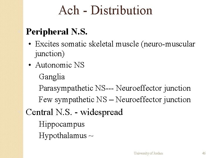 Ach - Distribution • Peripheral N. S. • Excites somatic skeletal muscle (neuro-muscular junction) Ach - Distribution • Peripheral N. S. • Excites somatic skeletal muscle (neuro-muscular junction)