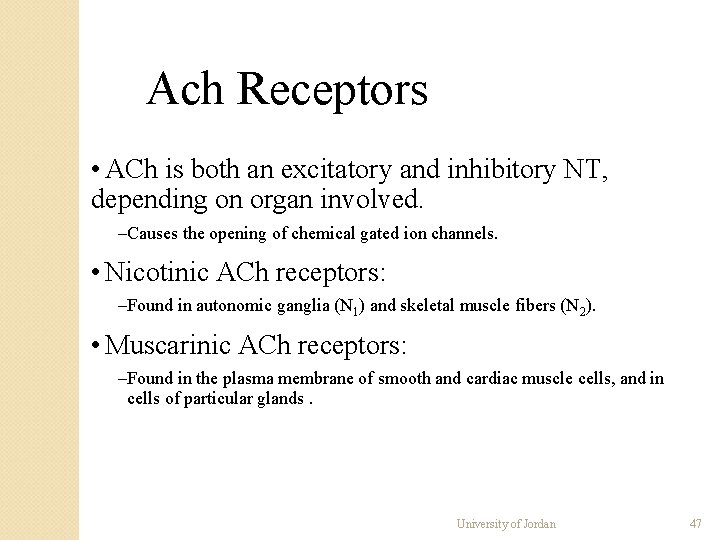Ach Receptors • ACh is both an excitatory and inhibitory NT, depending on organ Ach Receptors • ACh is both an excitatory and inhibitory NT, depending on organ
