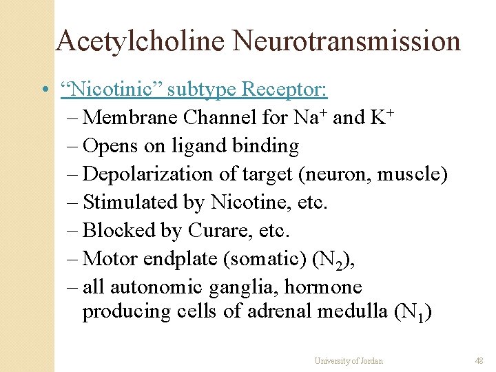 Acetylcholine Neurotransmission • “Nicotinic” subtype Receptor: – Membrane Channel for Na+ and K+ – Acetylcholine Neurotransmission • “Nicotinic” subtype Receptor: – Membrane Channel for Na+ and K+ –