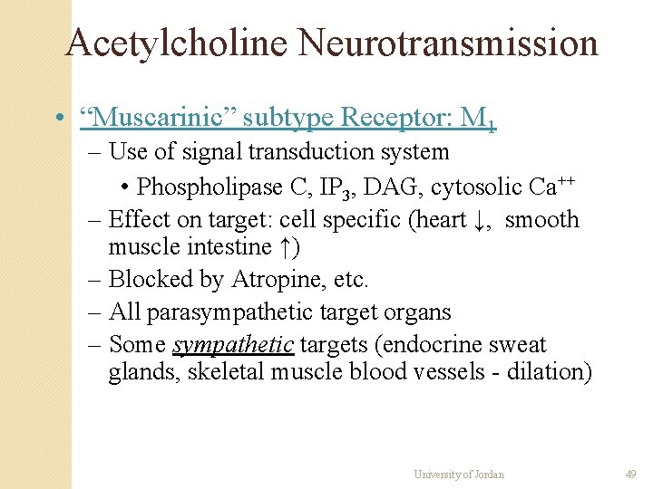 Acetylcholine Neurotransmission • “Muscarinic” subtype Receptor: M 1 – Use of signal transduction system Acetylcholine Neurotransmission • “Muscarinic” subtype Receptor: M 1 – Use of signal transduction system