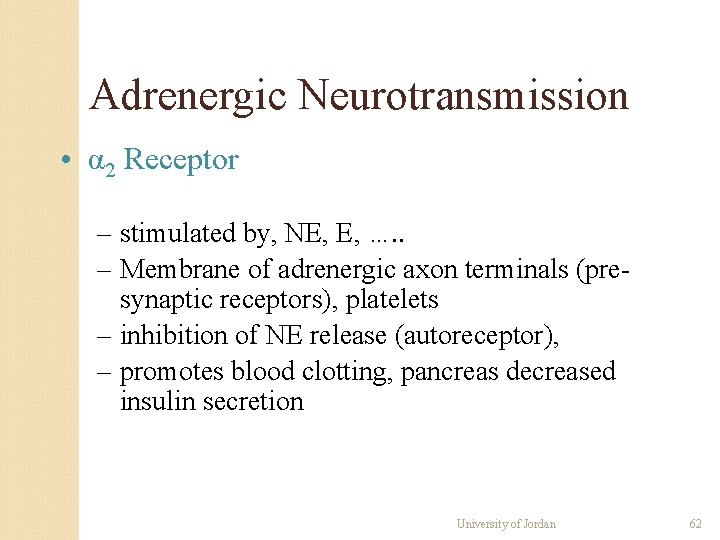 Adrenergic Neurotransmission • α 2 Receptor – stimulated by, NE, E, …. . – Adrenergic Neurotransmission • α 2 Receptor – stimulated by, NE, E, …. . –