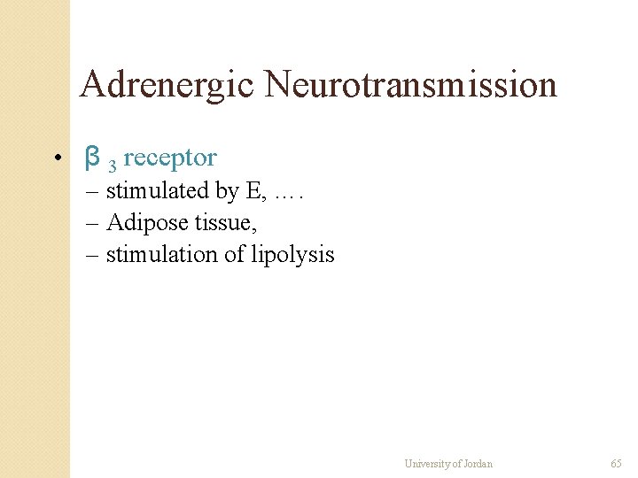 Adrenergic Neurotransmission • β 3 receptor – stimulated by E, …. – Adipose tissue, Adrenergic Neurotransmission • β 3 receptor – stimulated by E, …. – Adipose tissue,