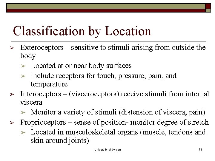 Classification by Location ➢ ➢ ➢ Exteroceptors – sensitive to stimuli arising from outside Classification by Location ➢ ➢ ➢ Exteroceptors – sensitive to stimuli arising from outside