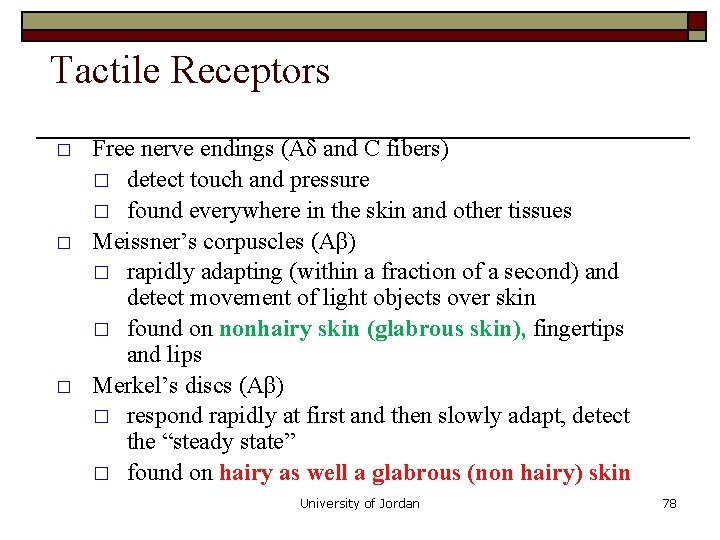 Tactile Receptors � � � Free nerve endings (Aδ and C fibers) � detect Tactile Receptors � � � Free nerve endings (Aδ and C fibers) � detect