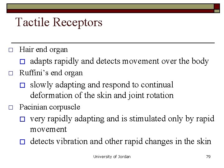 Tactile Receptors � Hair end organ � � Ruffini’s end organ � � adapts Tactile Receptors � Hair end organ � � Ruffini’s end organ � � adapts