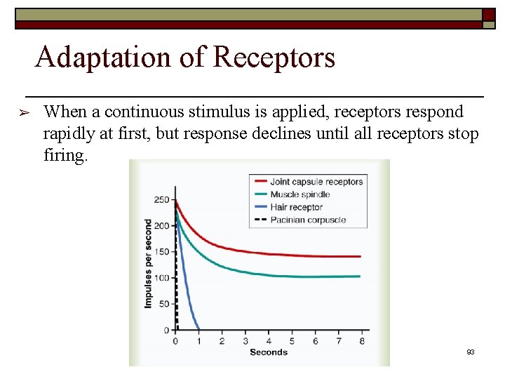 Adaptation of Receptors ➢ When a continuous stimulus is applied, receptors respond rapidly at Adaptation of Receptors ➢ When a continuous stimulus is applied, receptors respond rapidly at