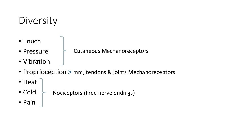 Diversity • Touch Cutaneous Mechanoreceptors • Pressure • Vibration • Proprioception > mm, tendons
