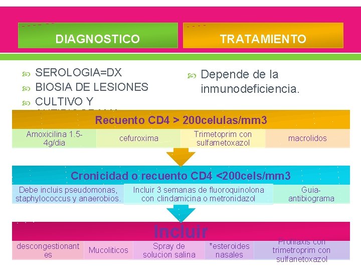 DIAGNOSTICO TRATAMIENTO SEROLOGIA=DX Depende de la BIOSIA DE LESIONES inmunodeficiencia. CULTIVO Y ANTIBIOGRAMA Recuento