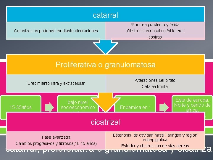 catarral RINOESCLEROMA Rinorrea purulenta y fetida Colonizacion profunda mediante ulceraciones Obstruccion nasal uni/bi lateral