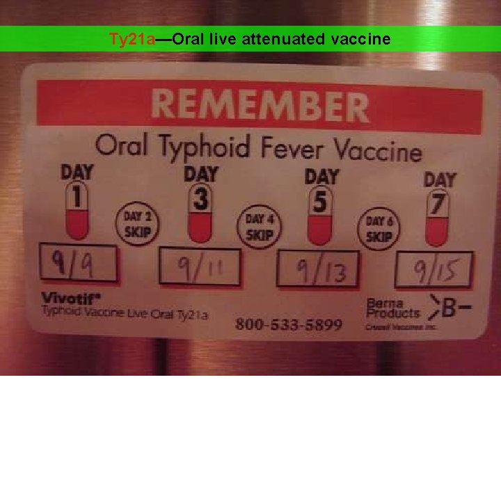 Ty 21 a—Oral live attenuated vaccine 