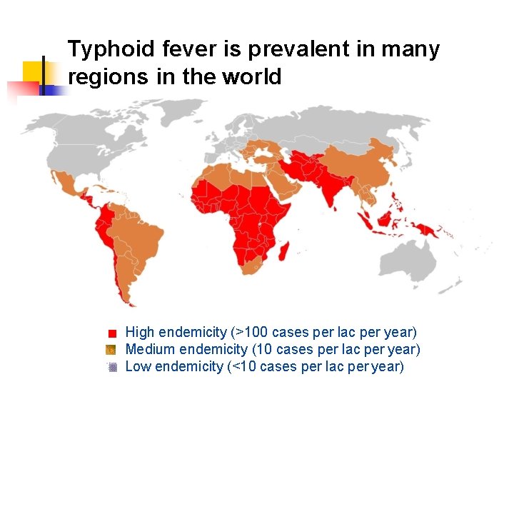 Typhoid fever is prevalent in many regions in the world High endemicity (>100 cases