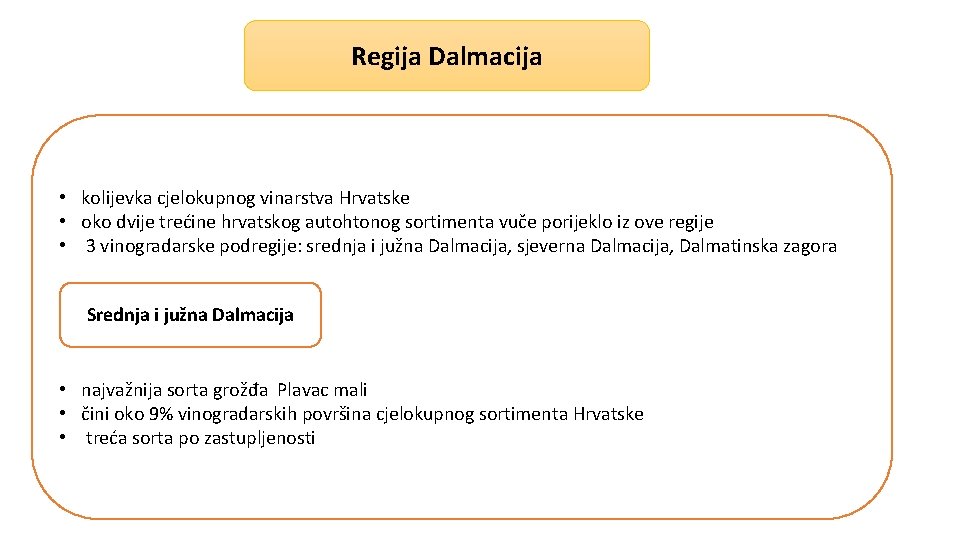 Regija Dalmacija • kolijevka cjelokupnog vinarstva Hrvatske • oko dvije trećine hrvatskog autohtonog sortimenta