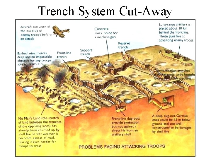 Trench System Cut-Away 