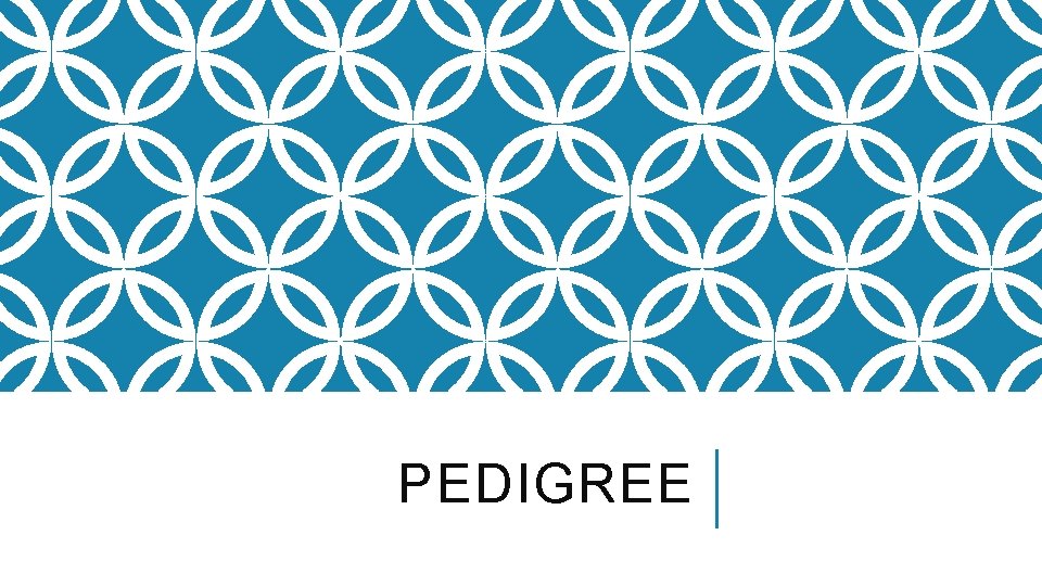 PEDIGREE PEDIGREE