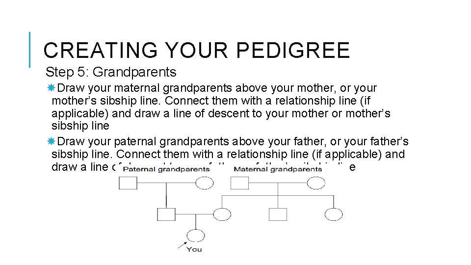 CREATING YOUR PEDIGREE Step 5: Grandparents Draw your maternal grandparents above your mother, or