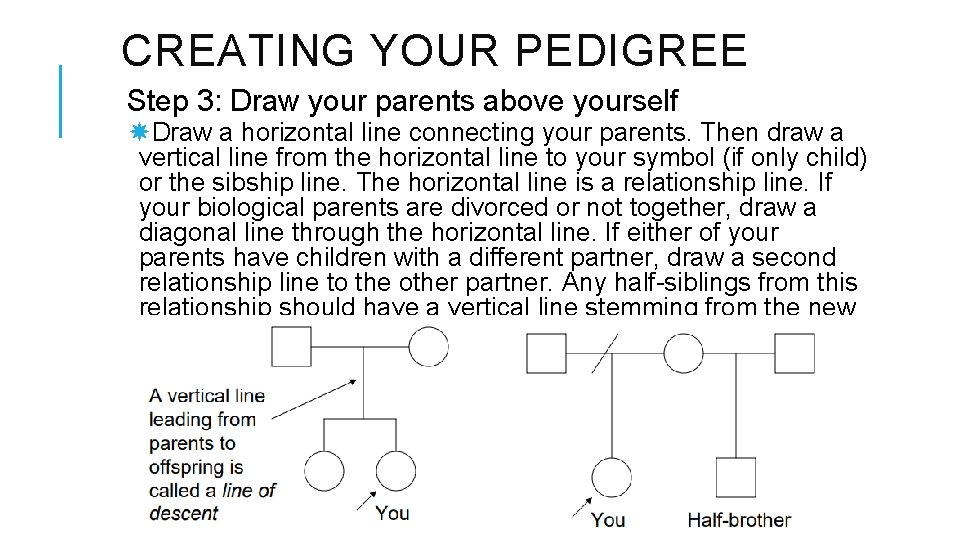 CREATING YOUR PEDIGREE Step 3: Draw your parents above yourself Draw a horizontal line