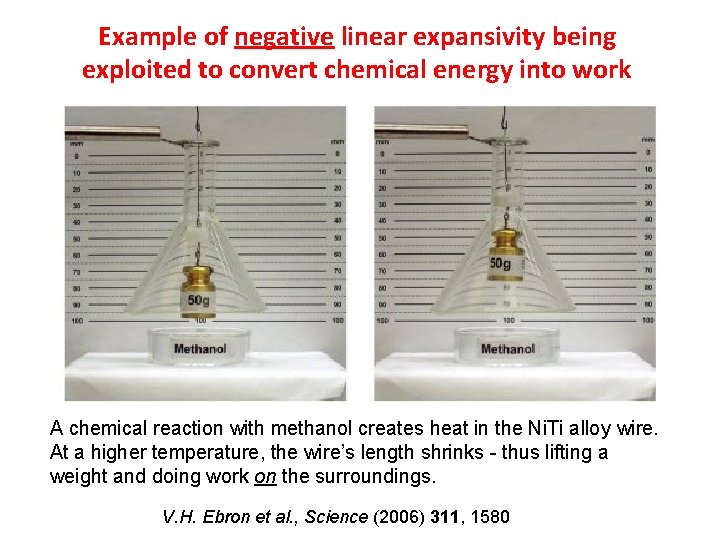 Example of negative linear expansivity being exploited to convert chemical energy into work A