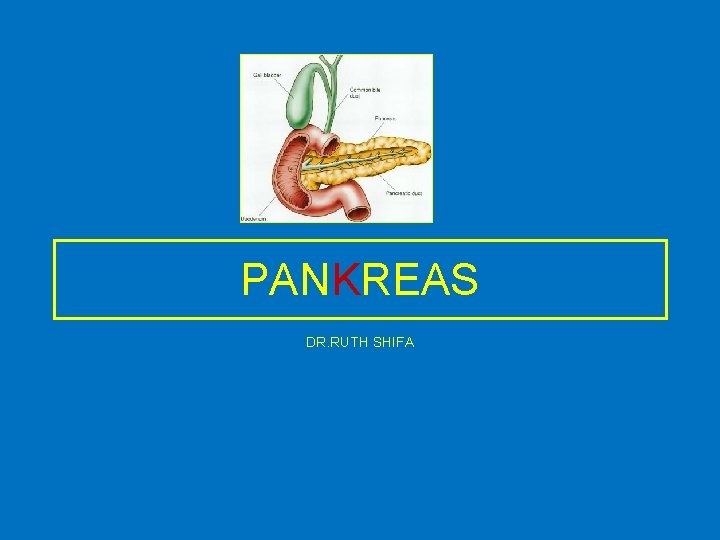 PANKREAS DR. RUTH SHIFA 