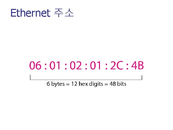 Ethernet 주소 